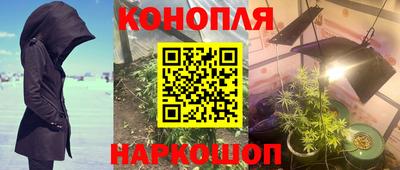 мдпв Краснодар