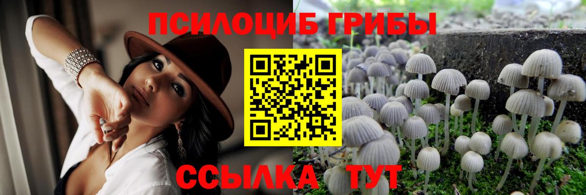 Кольчугино  Псилоцибиновые грибы мухоморы  Вход с VPN  Псилоцибиновые грибы GOLDEN TEACHER 